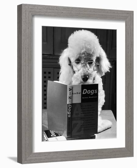 Ping Pong to the Poodle, 1958-George Greenwell-Framed Photographic Print