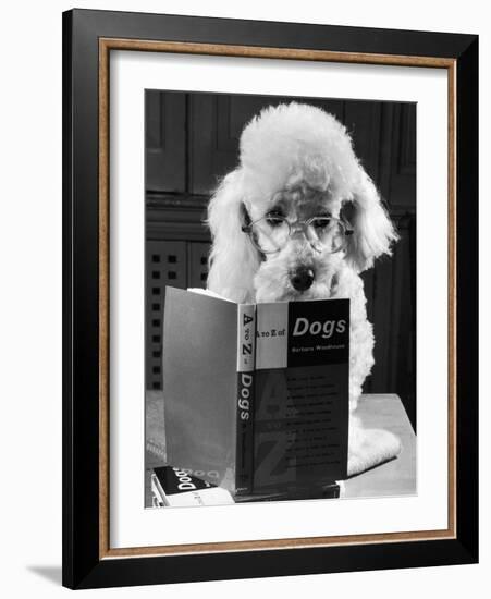 Ping Pong to the Poodle, 1958-George Greenwell-Framed Photographic Print