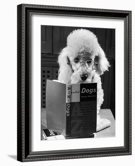 Ping Pong to the Poodle, 1958-George Greenwell-Framed Photographic Print