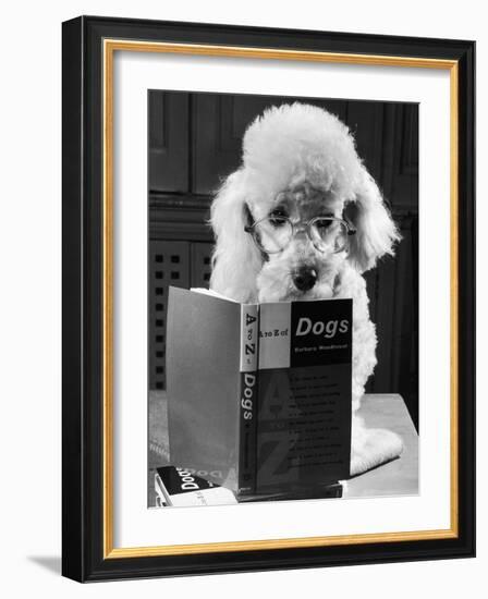 Ping Pong to the Poodle, 1958-George Greenwell-Framed Photographic Print