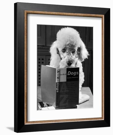 Ping Pong to the Poodle, 1958-George Greenwell-Framed Photographic Print