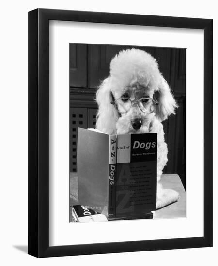 Ping Pong to the Poodle, 1958-George Greenwell-Framed Photographic Print