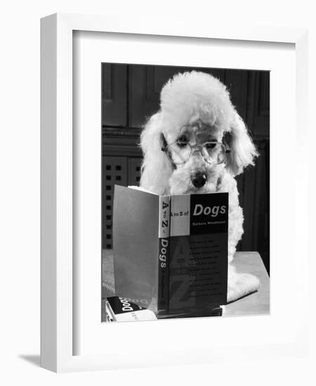 Ping Pong to the Poodle, 1958-George Greenwell-Framed Photographic Print