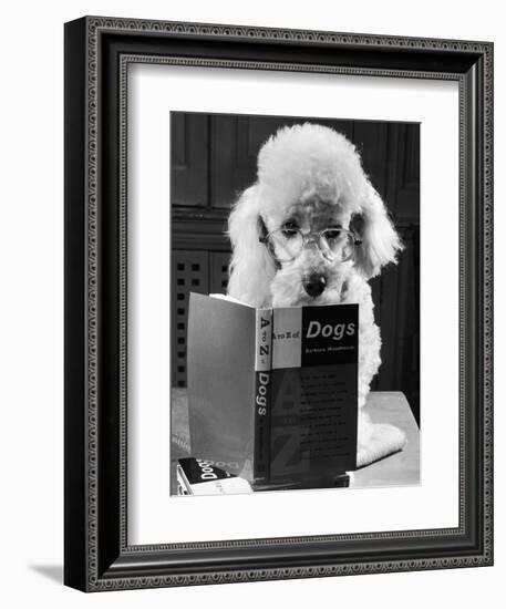 Ping Pong to the Poodle, 1958-George Greenwell-Framed Photographic Print