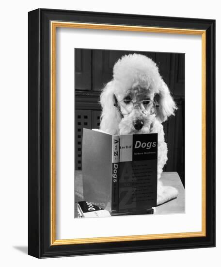 Ping Pong to the Poodle, 1958-George Greenwell-Framed Photographic Print