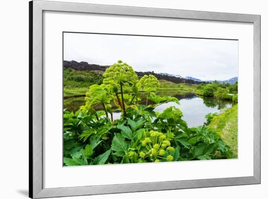 Pingvellir National Park-Catharina Lux-Framed Photographic Print