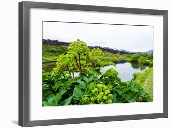 Pingvellir National Park-Catharina Lux-Framed Photographic Print