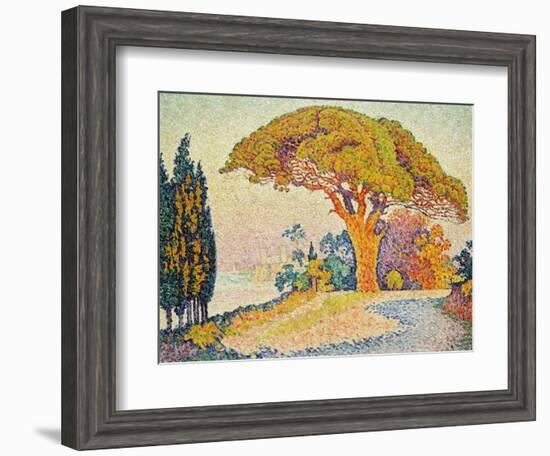 Pinie bei Bertraud, Saint-Tropez (Provence). Le Pin de Bertaud, Saint-Tropez (Provence)-Paul Signac-Framed Giclee Print