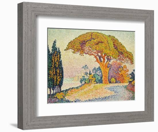 Pinie bei Bertraud, Saint-Tropez (Provence). Le Pin de Bertaud, Saint-Tropez (Provence)-Paul Signac-Framed Giclee Print