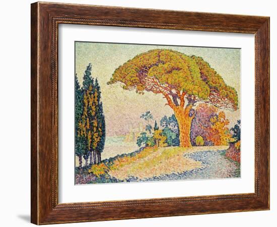 Pinie bei Bertraud, Saint-Tropez (Provence). Le Pin de Bertaud, Saint-Tropez (Provence)-Paul Signac-Framed Giclee Print