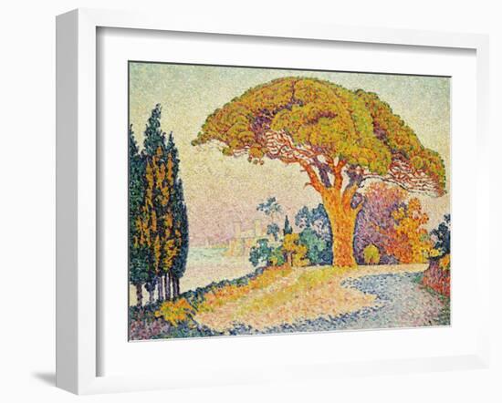 Pinie bei Bertraud, Saint-Tropez (Provence). Le Pin de Bertaud, Saint-Tropez (Provence)-Paul Signac-Framed Giclee Print