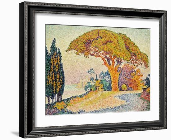 Pinie bei Bertraud, Saint-Tropez (Provence). Le Pin de Bertaud, Saint-Tropez (Provence)-Paul Signac-Framed Giclee Print