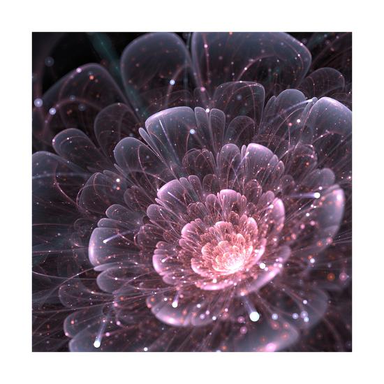 Pink Abstract Flower With Sparkles On Black Background Fractal