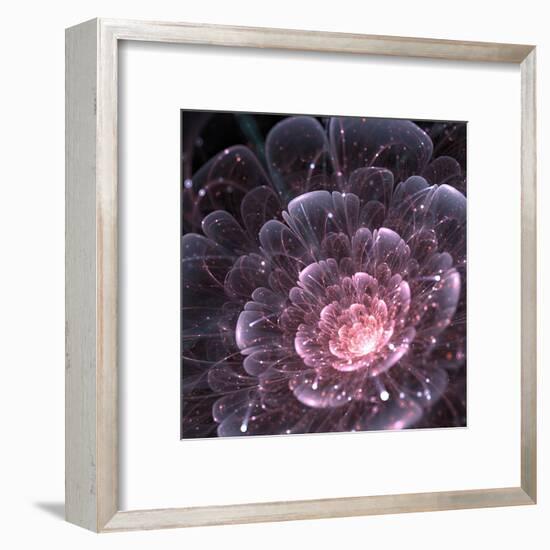 Pink abstract flower with sparkles on black background, fractal illustration-Anikakodydkova-Framed Art Print