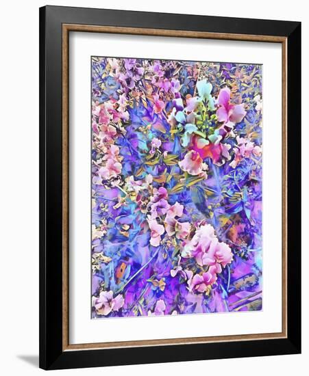 Pink and Blue Fusion-Dorothy Berry-Lound-Framed Giclee Print