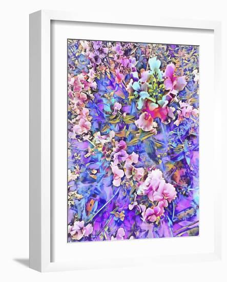 Pink and Blue Fusion-Dorothy Berry-Lound-Framed Giclee Print