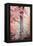 Pink and Coral Maple Tree-Brooke T. Ryan-Framed Premier Image Canvas