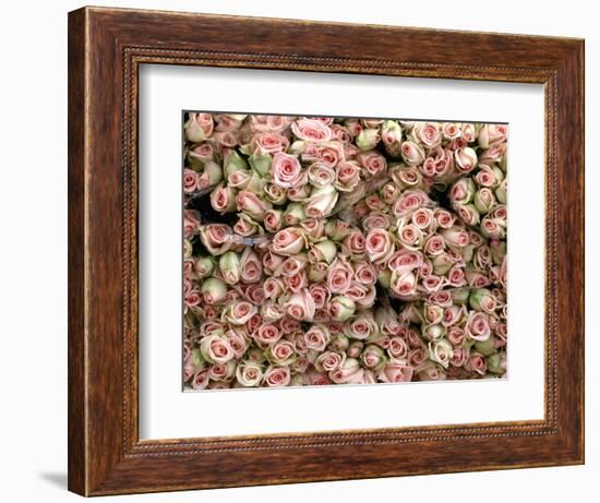 Pink and Cream Rose Bud Bunches-Owen Franken-Framed Photographic Print