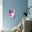 Pink and Grey Flowers-Jodi Pedri-Art Print displayed on a wall