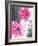 Pink and Grey Flowers-Jodi Pedri-Framed Art Print