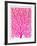 Pink and Ombre Fan Coral-Cat Coquillette-Framed Giclee Print