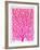 Pink and Ombre Fan Coral-Cat Coquillette-Framed Giclee Print