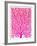 Pink and Ombre Fan Coral-Cat Coquillette-Framed Giclee Print