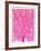 Pink and Ombre Fan Coral-Cat Coquillette-Framed Giclee Print