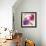 Pink and Purple-Sophie 6-Framed Art Print displayed on a wall