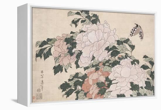 Pink and Red Peonies Blown to the Left in a Breeze and a Butterfly-Katsushika Hokusai-Framed Premier Image Canvas