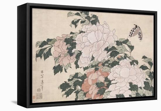 Pink and Red Peonies Blown to the Left in a Breeze and a Butterfly-Chokosai Eisho-Framed Premier Image Canvas