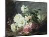 Pink and White Roses-Andre Perrachon-Mounted Giclee Print