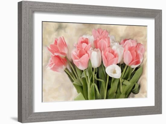 Pink And White Tulips-Kimberly Allen-Framed Art Print