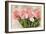 Pink And White Tulips-Kimberly Allen-Framed Art Print