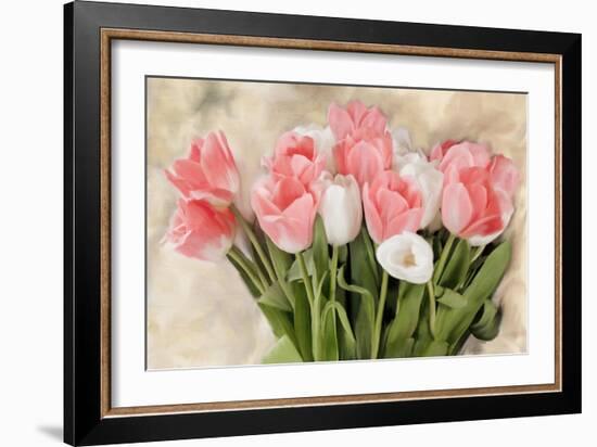 Pink And White Tulips-Kimberly Allen-Framed Art Print