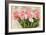 Pink And White Tulips-Kimberly Allen-Framed Art Print