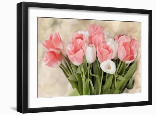 Pink And White Tulips-Kimberly Allen-Framed Art Print