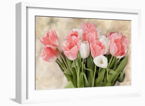 Pink And White Tulips-Kimberly Allen-Framed Art Print