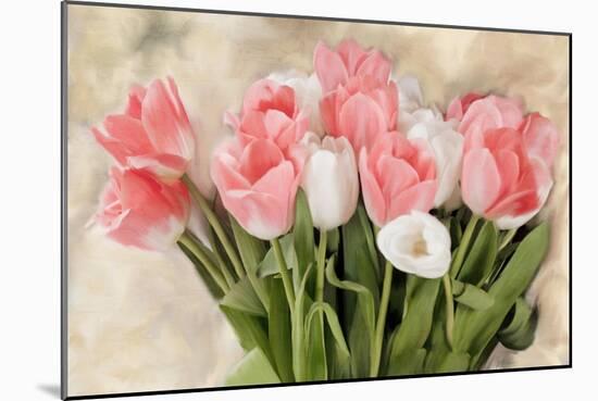 Pink And White Tulips-Kimberly Allen-Mounted Art Print