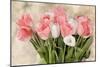 Pink And White Tulips-Kimberly Allen-Mounted Art Print