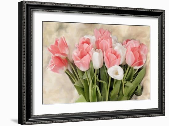 Pink And White Tulips-Kimberly Allen-Framed Art Print