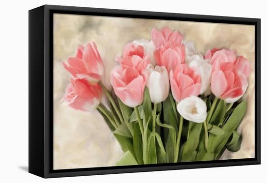 Pink And White Tulips-Kimberly Allen-Framed Stretched Canvas