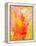 Pink and Yellow Abstract Art Painting-T30Gallery-Framed Stretched Canvas