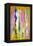 Pink and Yellow Abstract Art Painting-T30Gallery-Framed Stretched Canvas