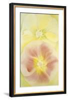 Pink and Yellow Hollyhocks, 1952-Georgia O'Keeffe-Framed Art Print