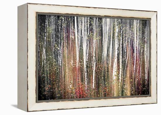 Pink Autumn-Ursula Abresch-Framed Premier Image Canvas