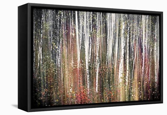 Pink Autumn-Ursula Abresch-Framed Premier Image Canvas