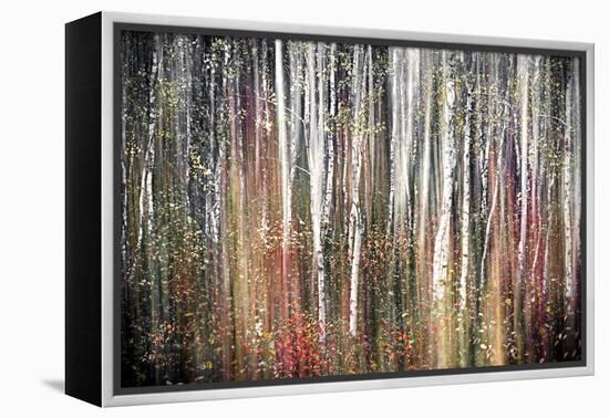 Pink Autumn-Ursula Abresch-Framed Premier Image Canvas