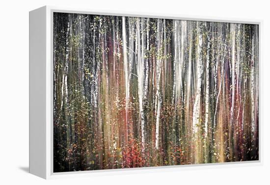 Pink Autumn-Ursula Abresch-Framed Premier Image Canvas