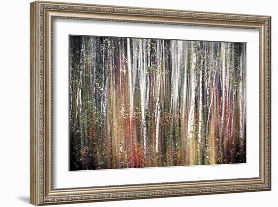 Pink Autumn-Ursula Abresch-Framed Photographic Print